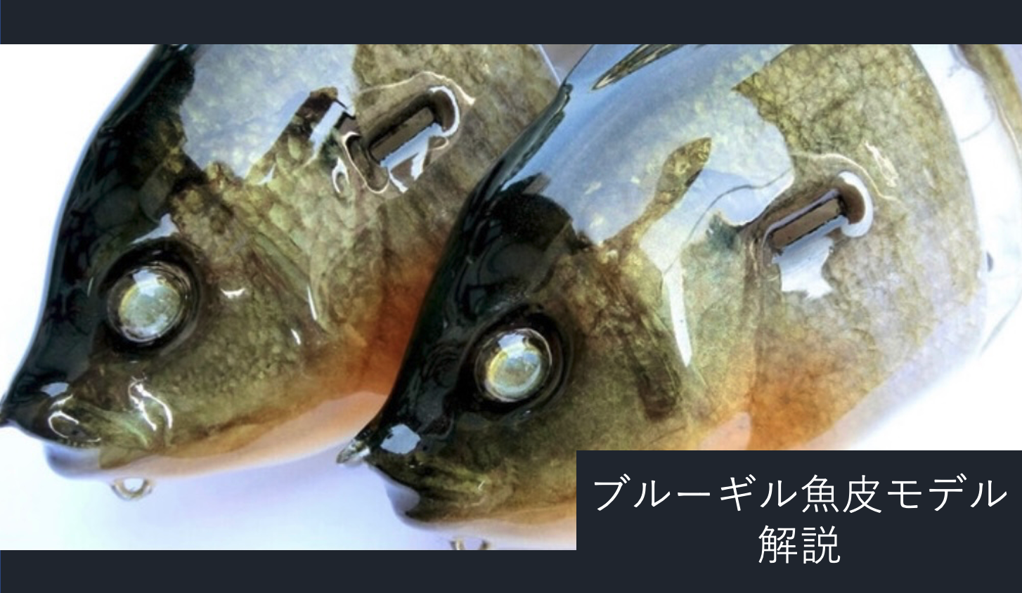 ブルーギル魚皮モデルの仕様について | フレッシュベイトルアーズ公式サイト